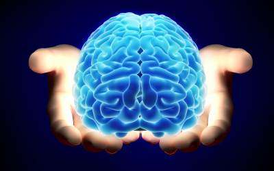 اعصاب مغزی چیست