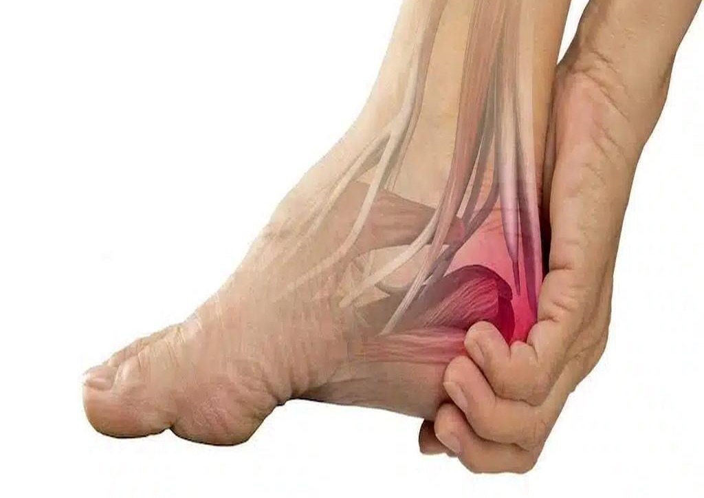 تغییرات ساختاری در استخوانها فیزیوتراپی