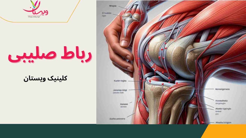 مفصل زانو قسمت جلویی مفصل زانو