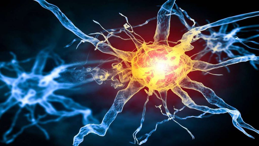 ضعف عضلات بیماران ms مشکلات حافظه