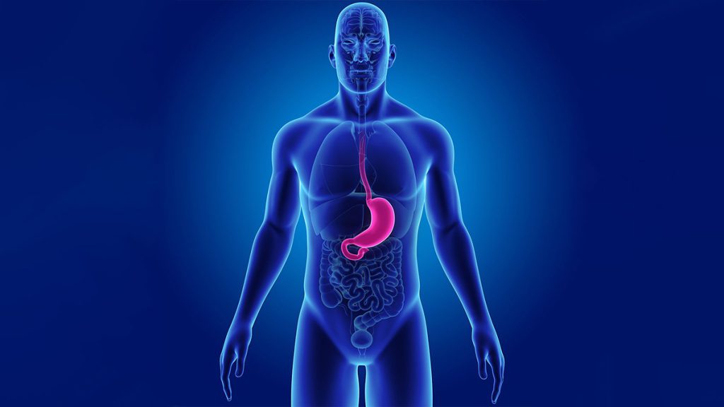 آیا بین بوتاکس صورت و بوتاکس معده تفاوت وجود دارد؟ چه کسی می تواند بوتاکس معده داشته باشد؟