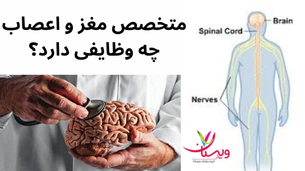 اختلالات عصبی متخصص مغز و اعصاب چه وظایفی دارد