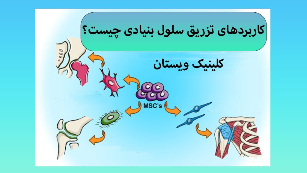 کاربردهای سلول بنیادی تصویر انیمیشنی از سلول