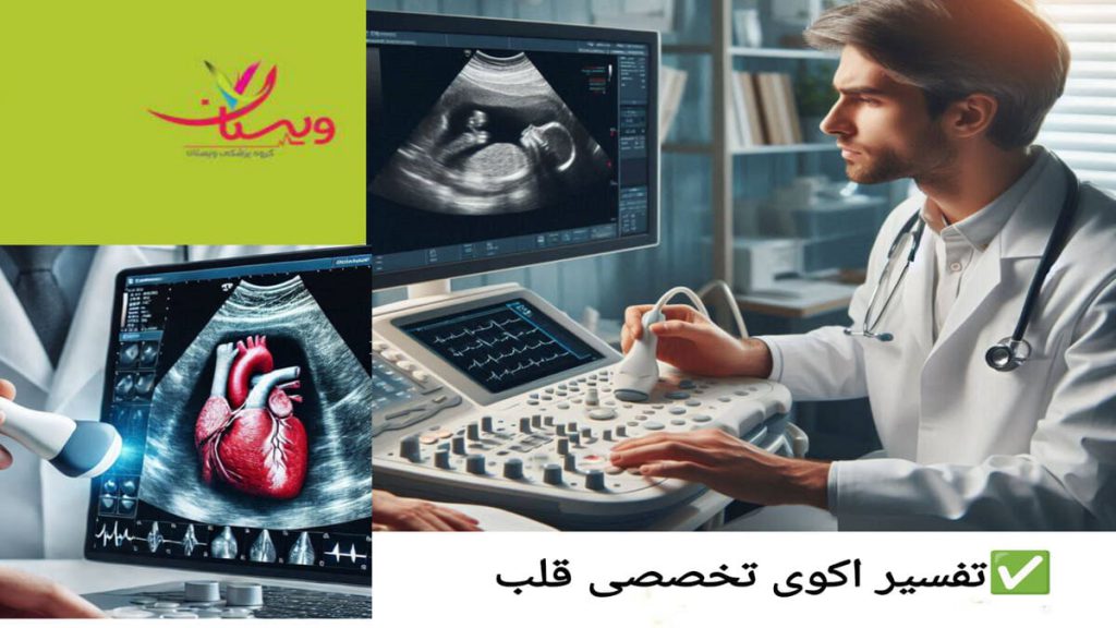 تشخیص بیماری با اکو تخصصی قلب پزشک در حال تفسیر اکو قلب