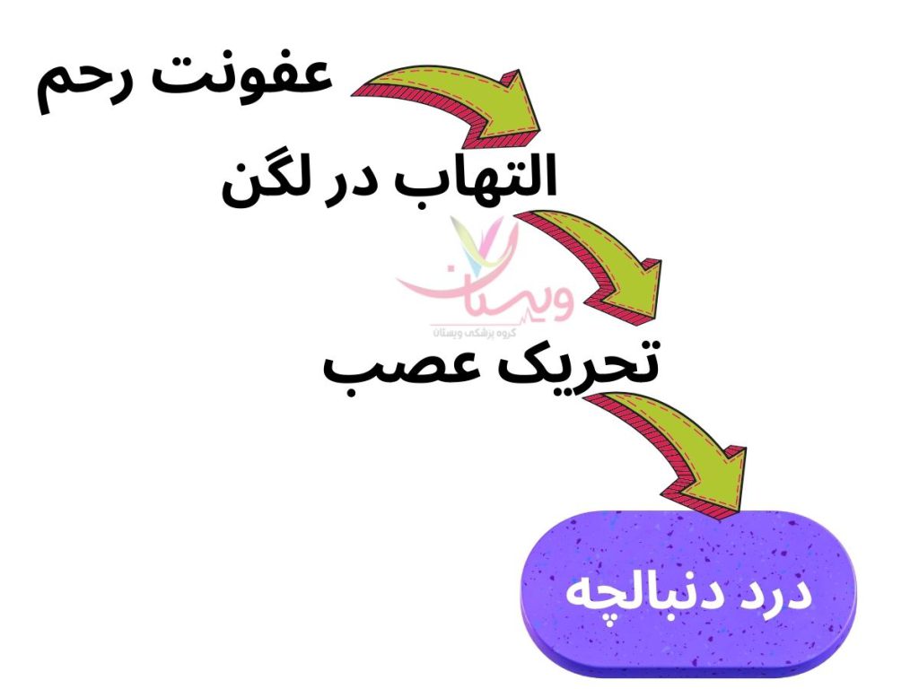 التهاب لگن و درد دنبالچه علت درد دنبالچه در زنان