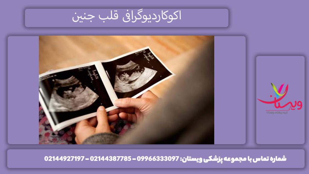 اسکت قلب برای جنین اهمیت اسکن قلب جنین